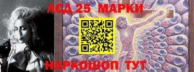 гашик Краснодар