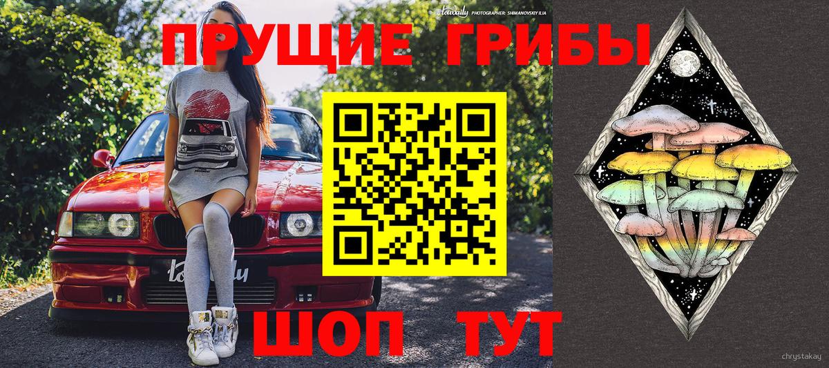 Галлюциногенные грибы Psilocybe Камышин